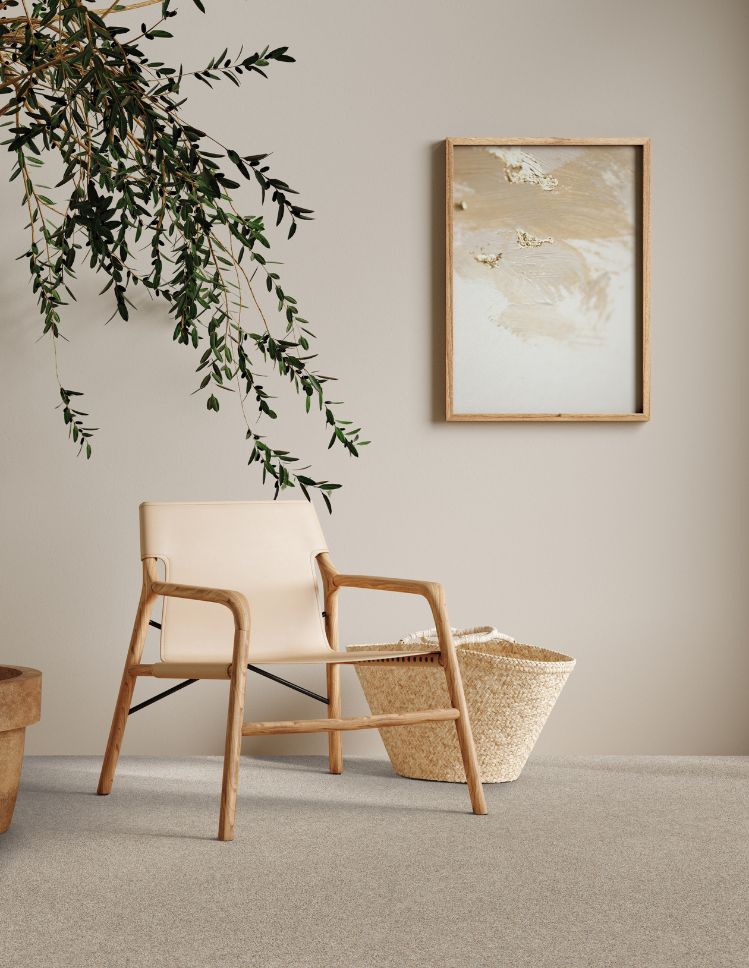 carpet in a stylish sitting area