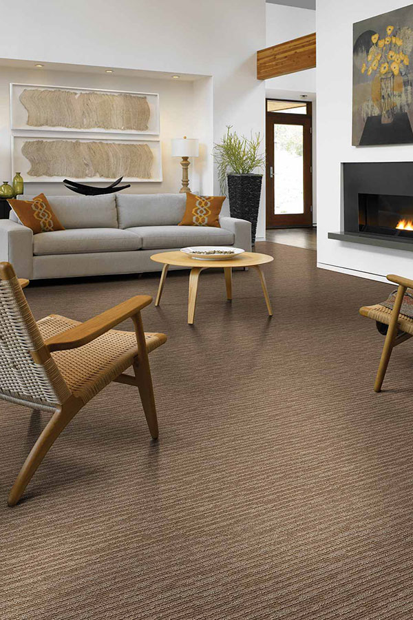 Large living room divided by a couch